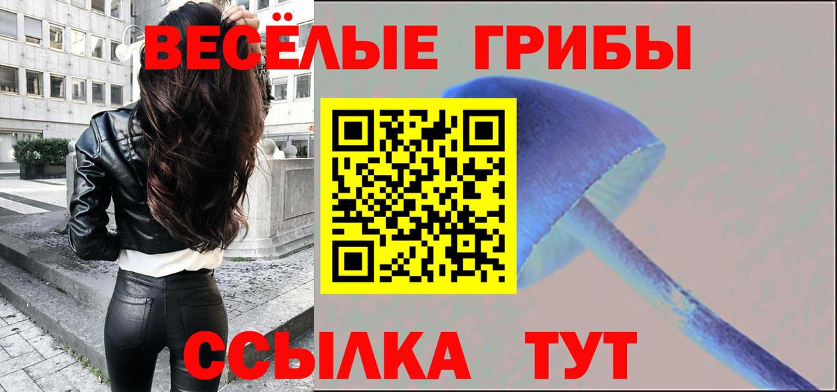Псилоцибиновые грибы Psilocybe Златоуст