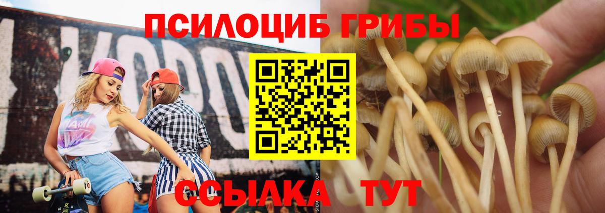 Златоуст  Галлюциногенные грибы Psilocybe  Вход с VPN 
